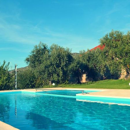 Quinta Do Quinto Hotel Porto da Carne Kültér fotó